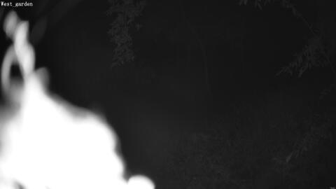 2120-20260602040415-00.jpg