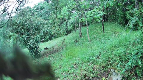 2366-20260603110606-13.jpg