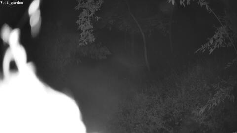 2447-20260603215910-10.jpg