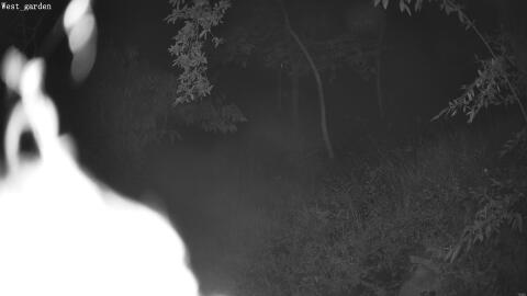 2450-20260604032030-00.jpg