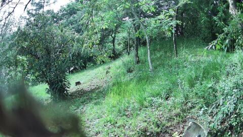 2515-20260604161258-00.jpg