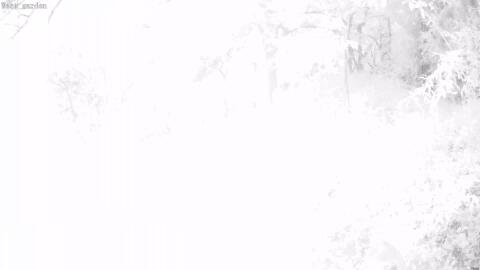 2557-20260604210010-19.jpg