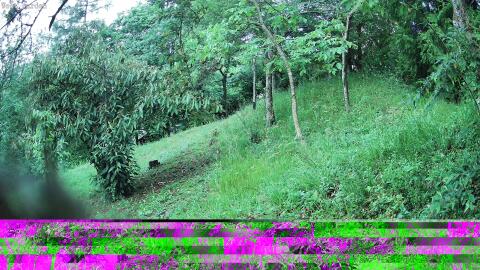 2650-20260605200706-05.jpg