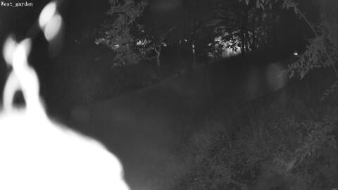 2690-20260606020048-19.jpg