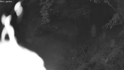 2707-20260606044114-21.jpg