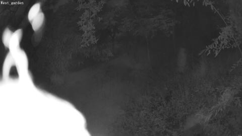 2708-20260606044359-04.jpg