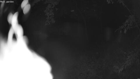 3113-20260608213505-03.jpg