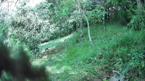 3158-20260609090359-08.jpg