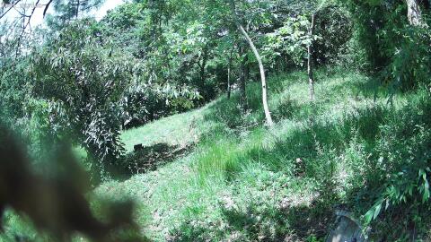 3197-20260609131505-09.jpg