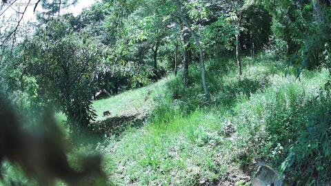 3213-20260609150030-09.jpg