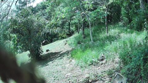 3307-20260610150355-00.jpg