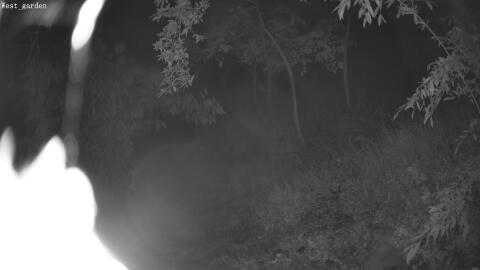 3352-20260611012954-18.jpg