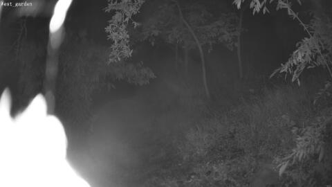 3369-20260611024336-24.jpg