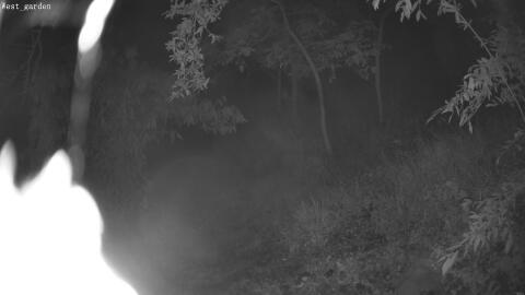 3375-20260611031810-37.jpg