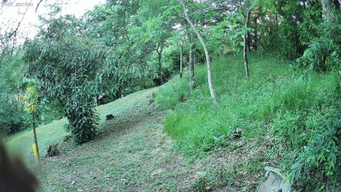 3638-20260613053130-16.jpg