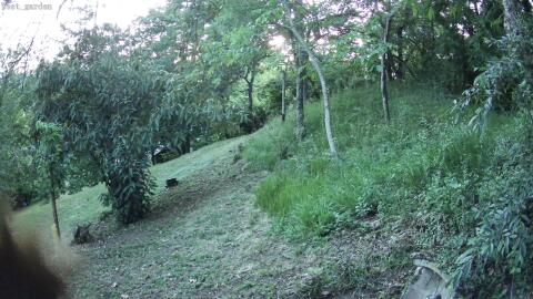 3691-20260613211451-17.jpg