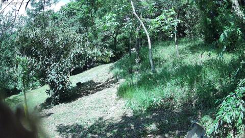 3764-20260614122808-03.jpg