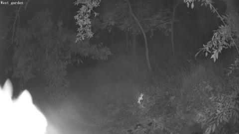 3784-20260614220007-18.jpg