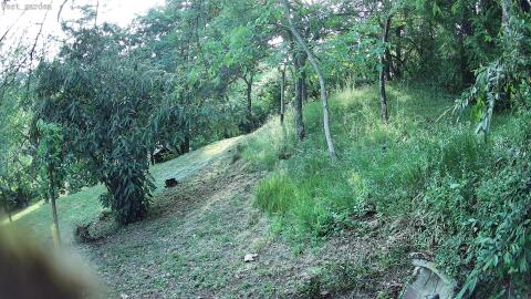 4092-20260616191827-07.jpg