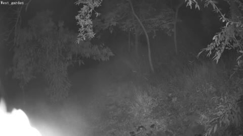 4306-20260618021025-14.jpg