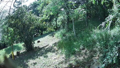 4608-20260619170429-05.jpg