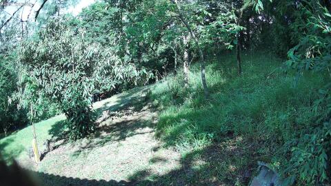 38-20260621093251-04.jpg