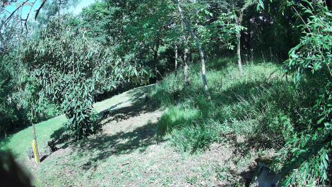 43-20260621100951-09.jpg