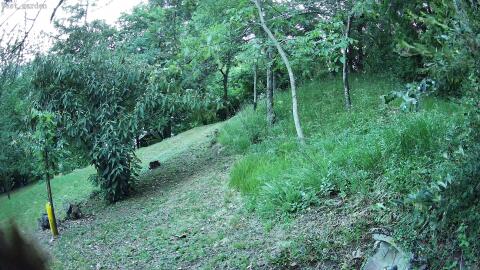 67-20260621205033-03.jpg