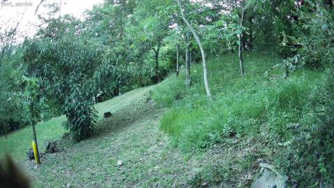 69-20260621210536-18.jpg