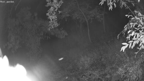 06-20260622011446-00.jpg