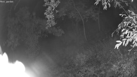 06-20260622011451-02.jpg