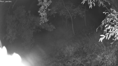 06-20260622011555-14.jpg