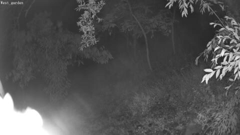 07-20260622013959-00.jpg