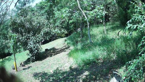 38-20260622121555-04.jpg