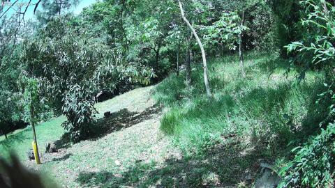 271-20260625123722-10.jpg