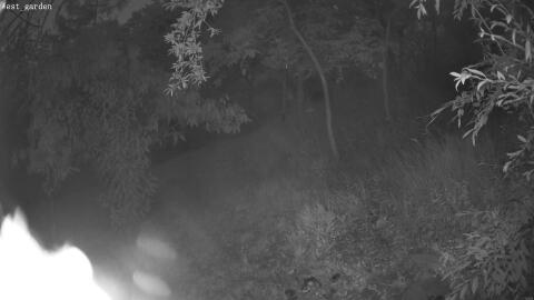 404-20260626043155-06.jpg