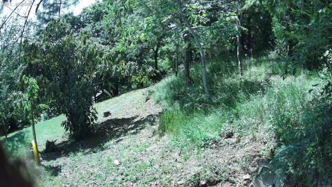 468-20260626151459-06.jpg
