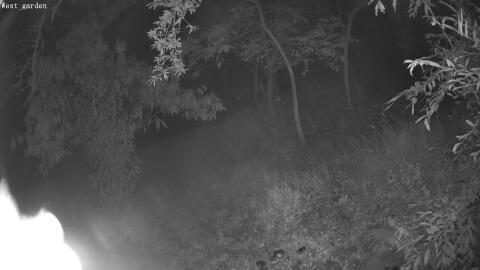 571-20260627041713-16.jpg
