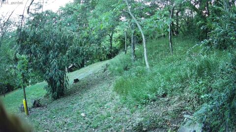 852-20260628204059-04.jpg
