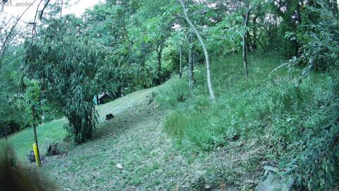 1007-20260629205718-00.jpg