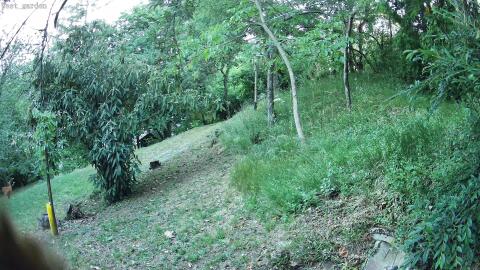 874-20260629051047-04.jpg