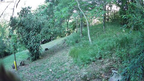 894-20260629072958-01.jpg