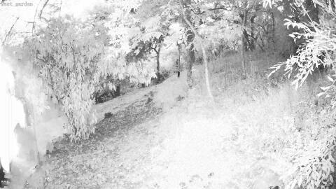 1159-20260630212053-35.jpg