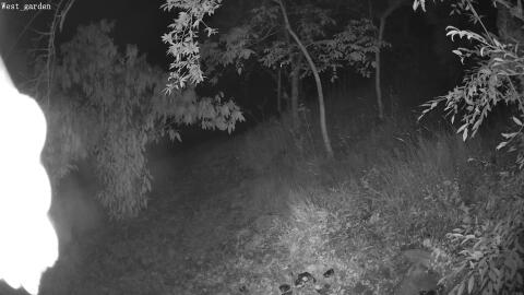 1201-20260701033904-07.jpg
