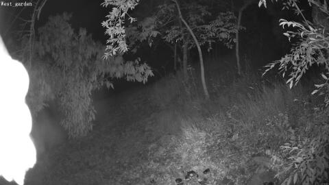 1201-20260701033957-14.jpg