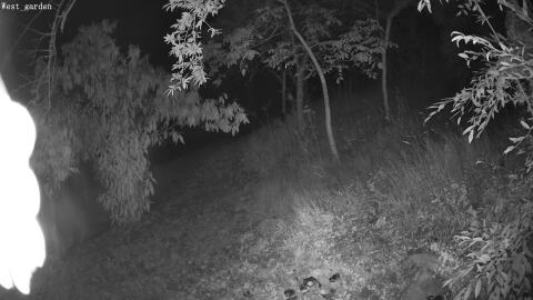 1203-20260701034657-04.jpg