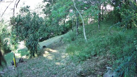262-20260703081354-15.jpg