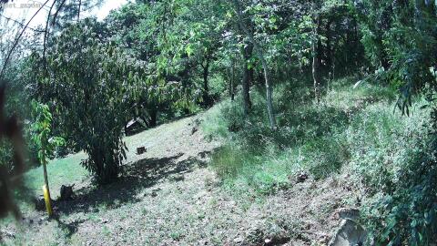 471-20260704153947-07.jpg