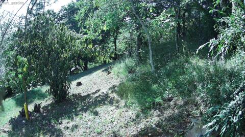 477-20260704170345-13.jpg
