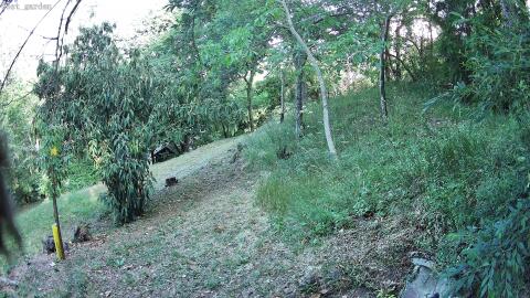546-20260705074359-02.jpg